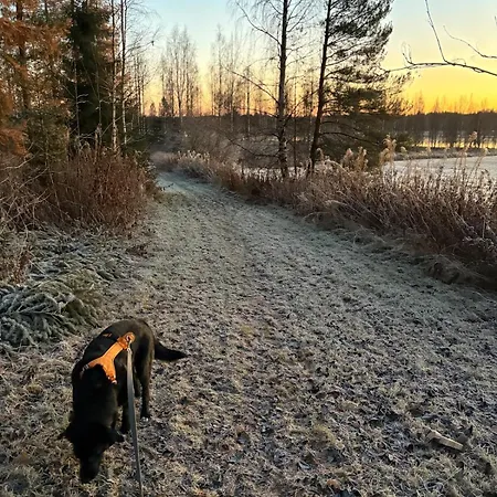 Lapinkangas Yksioe 60m2 Paritalossa, Oma Piha Ja Sauna * Oulu