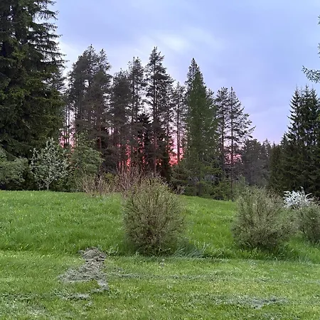 Lapinkangas Yksioe 60m2 Paritalossa, Oma Piha Ja Sauna * Oulu