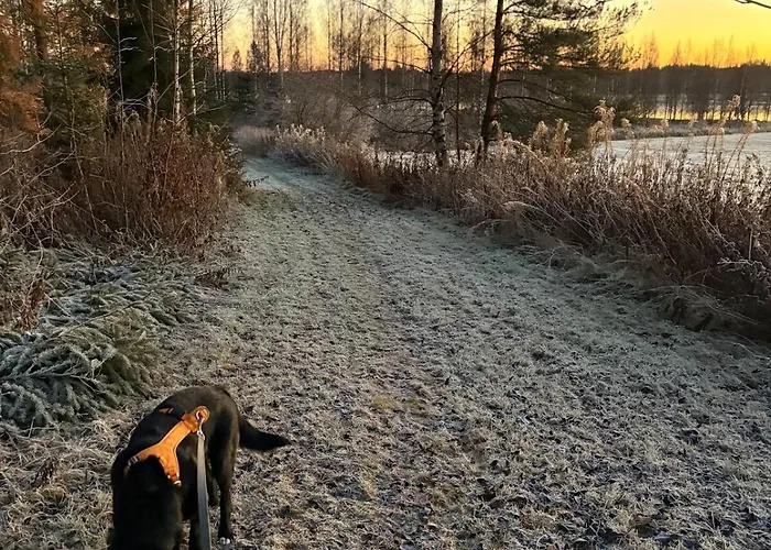 Lapinkangas Yksiö 60m2 Paritalossa, Oma Piha Ja Sauna * Oulu