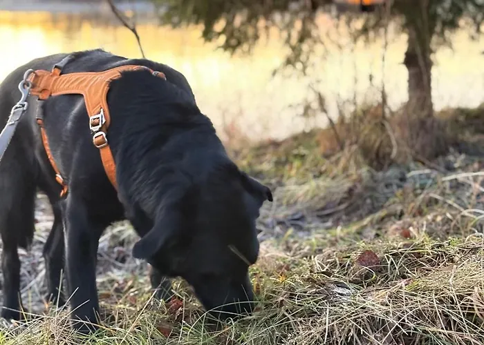 בית נופש Lapinkangas Yksioe 60m2 Paritalossa, Oma Piha Ja Sauna אולו