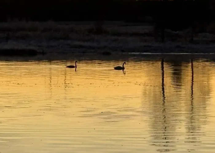 Lapinkangas Yksioe 60m2 Paritalossa, Oma Piha Ja Sauna בית נופש *